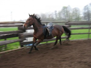 Obrazek